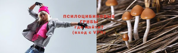 ГАЛЛЮЦИНОГЕННЫЕ ГРИБЫ Гвардейск