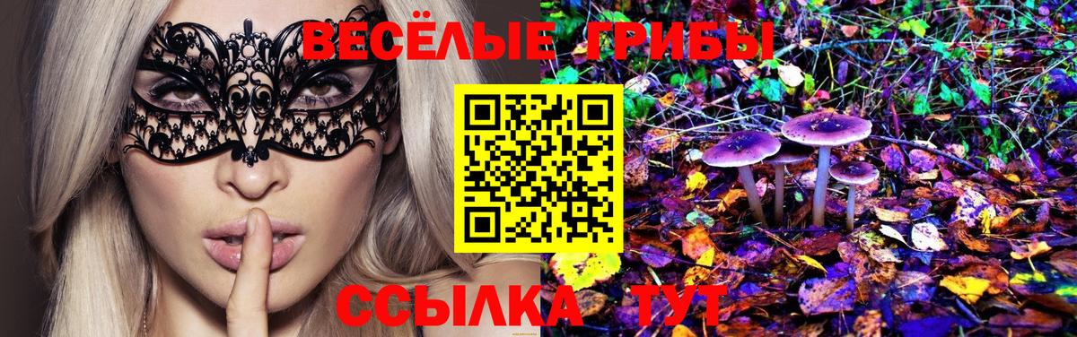 купить наркоту  Вход с VPN  Железноводск  Галлюциногенные грибы ЛСД  Псилоцибиновые грибы прущие грибы 