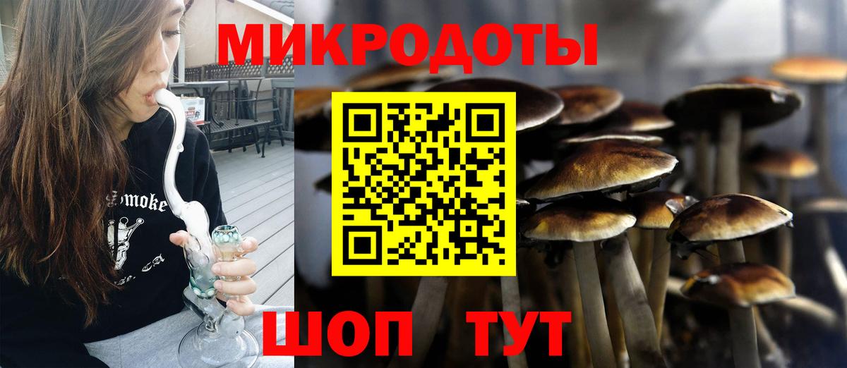 Псилоцибиновые грибы мухоморы Железноводск